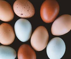 Farm Fresh Pastured Eggs