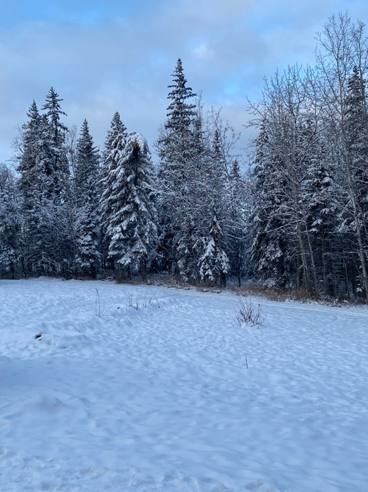 Sustainably Unsustainable