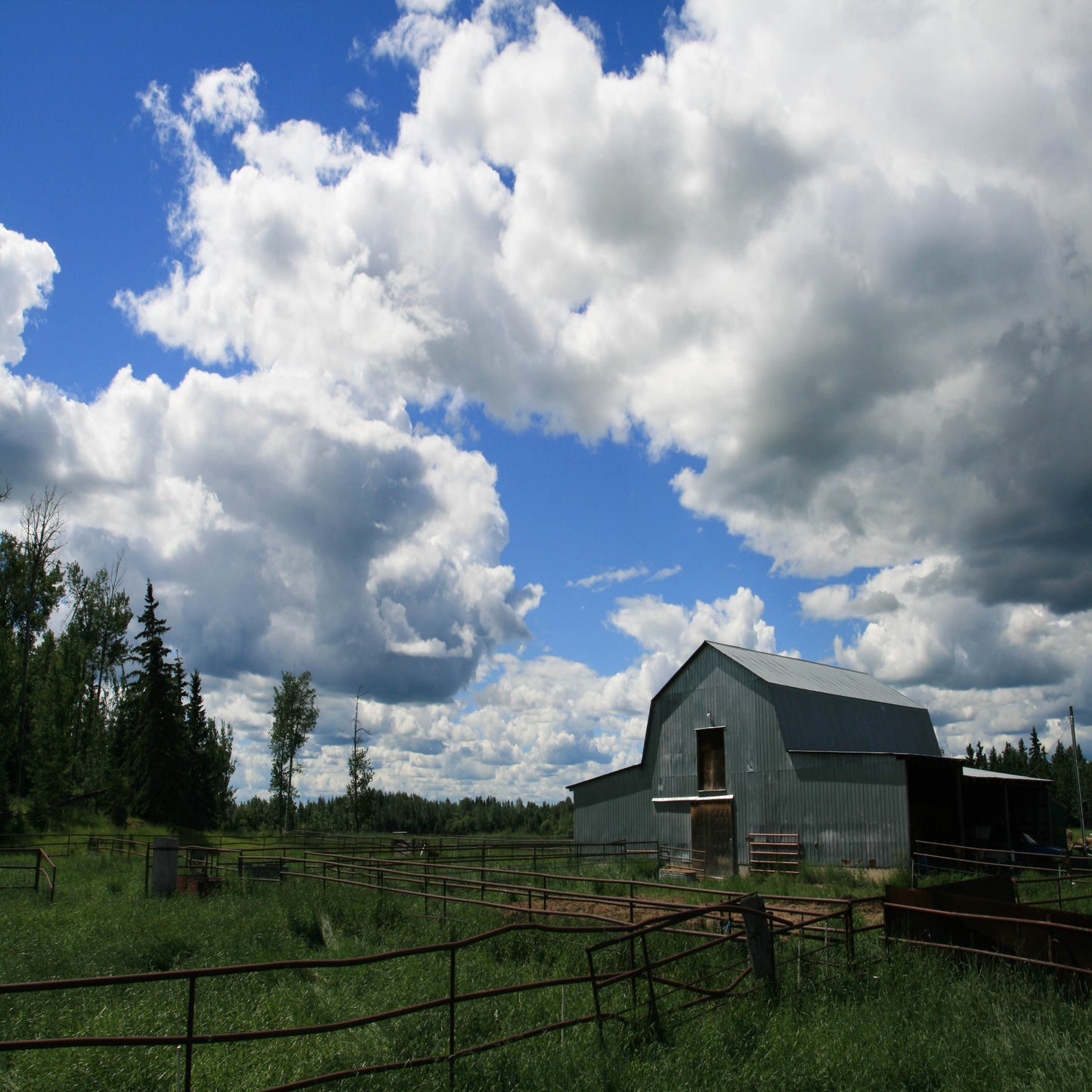 Day at the Ranch Series - Learn to Milk a Cow and What We Do with the Milk!