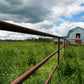 Day at the Ranch Series - Learn to Milk a Cow and What We Do with the Milk!