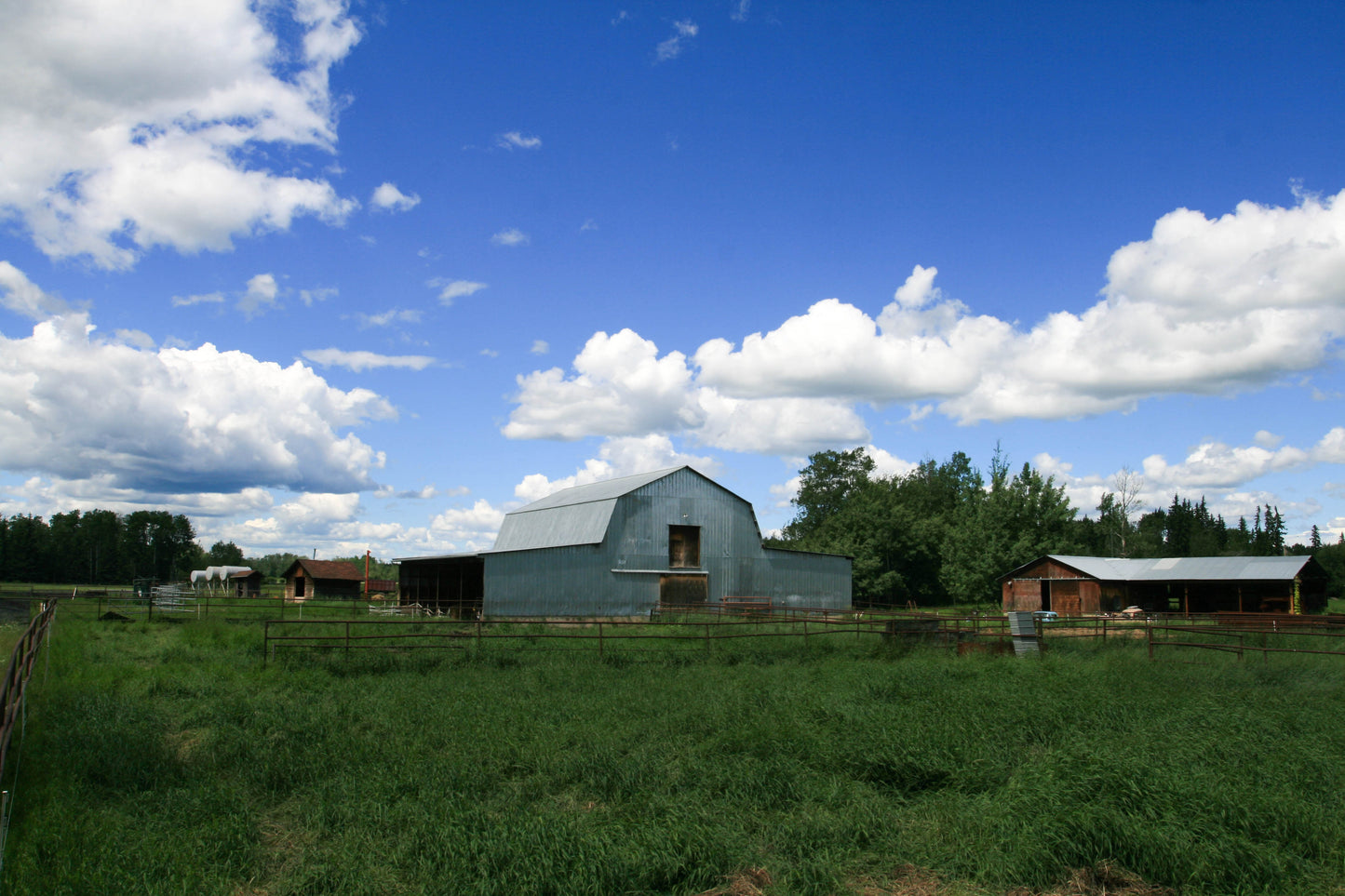 Day at the Ranch Series - Learn to Milk a Cow and What We Do with the Milk!