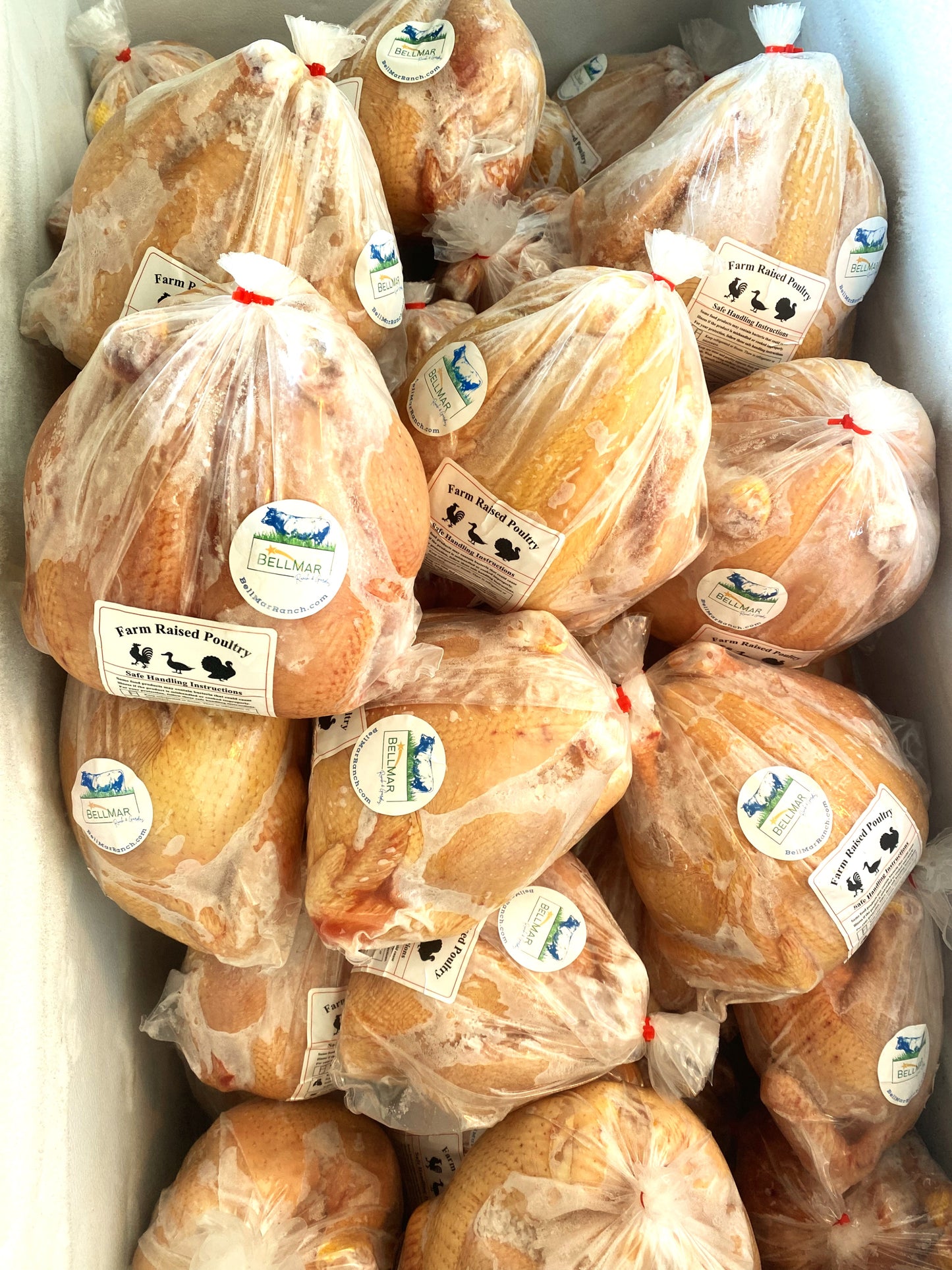 Pastured Whole Chicken (Pick Up at the Ranch or in St. Albert) - Deposit Only