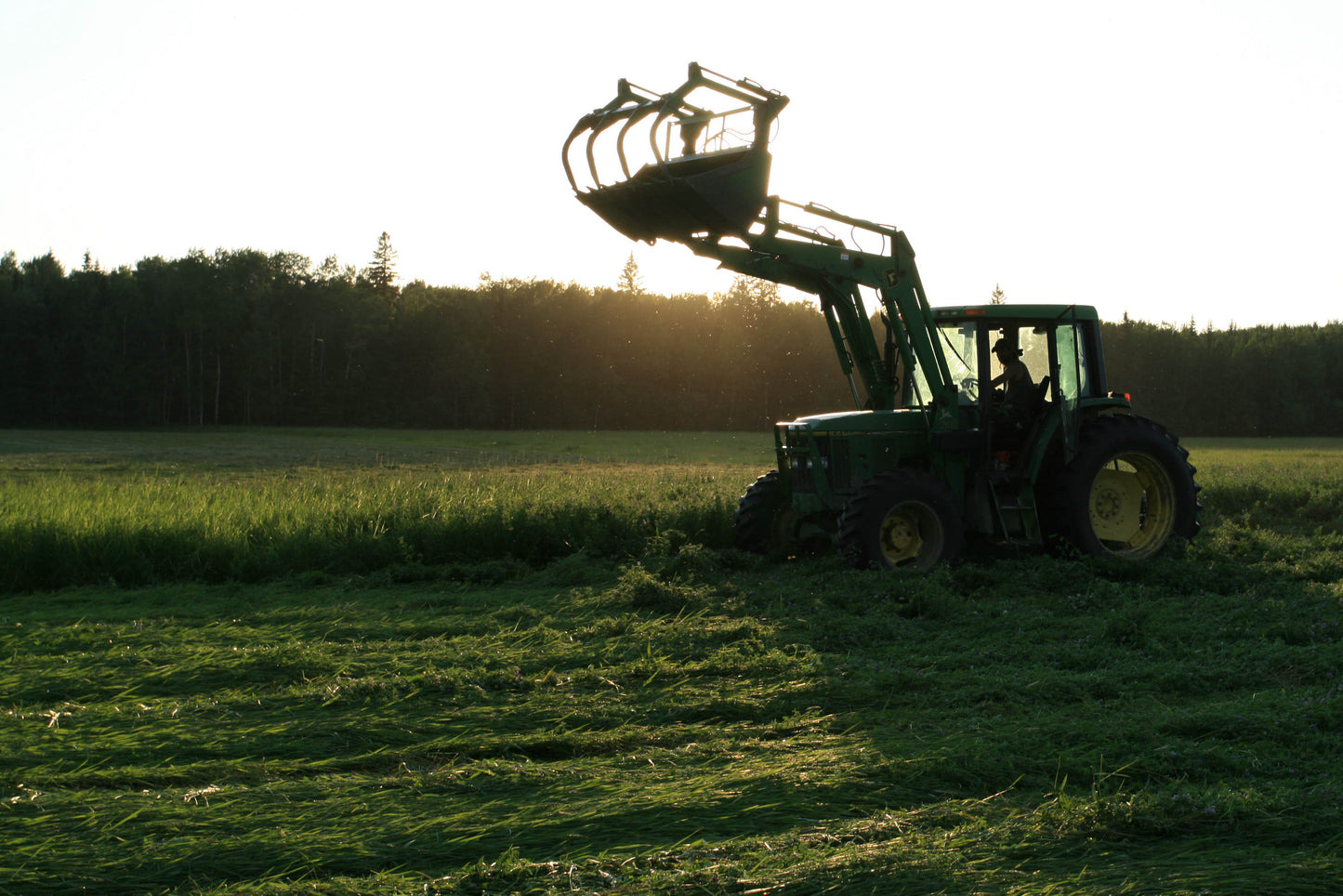 Day at the Ranch Series - Learn to Milk a Cow and What We Do with the Milk!