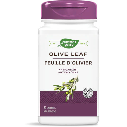 Olive Leaf Extract