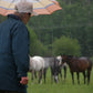 Day at the Ranch Series - Learn to Milk a Cow and What We Do with the Milk!