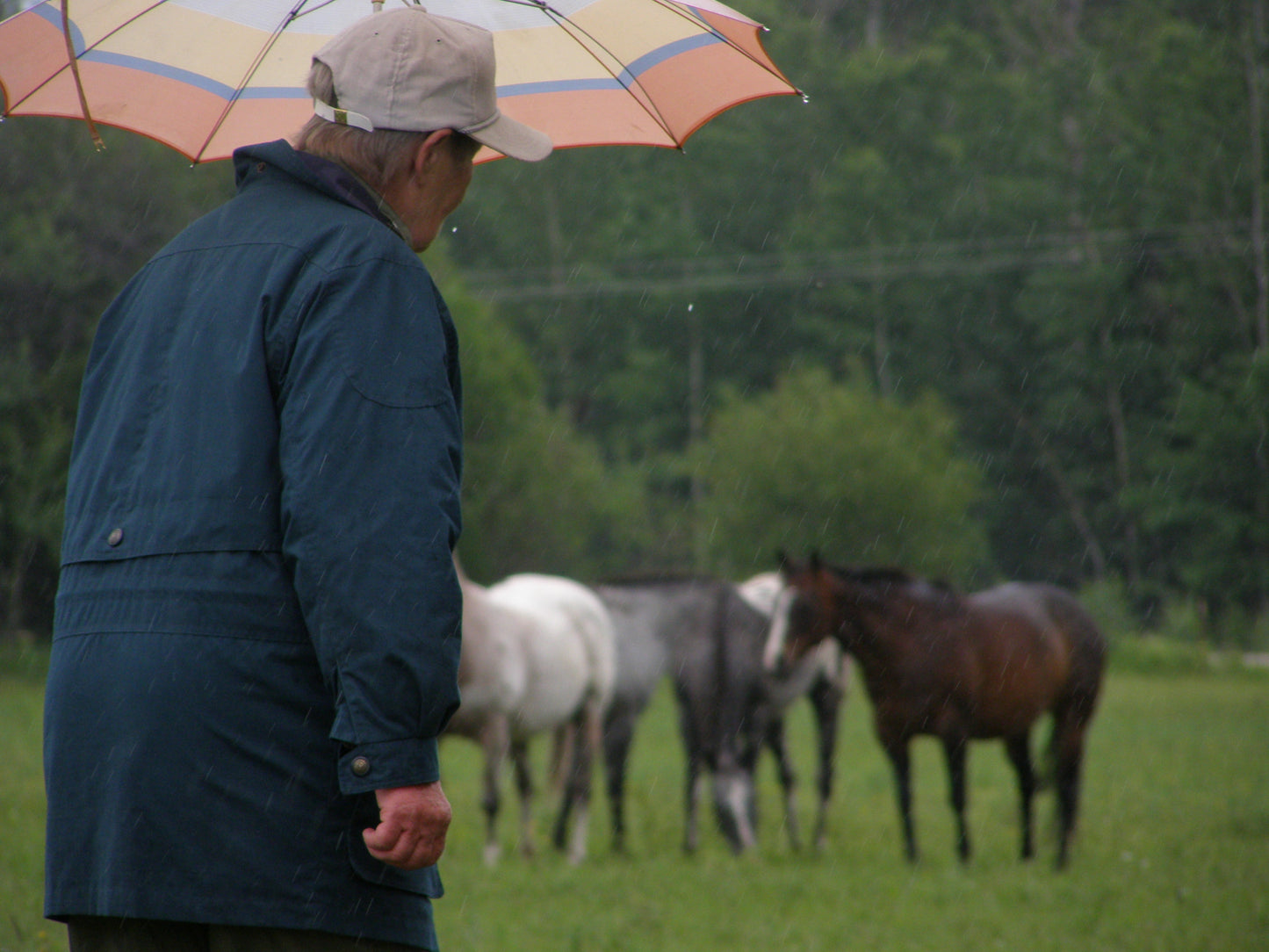 Day at the Ranch Series - Learn to Milk a Cow and What We Do with the Milk!