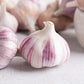 Roasted Garlic Powder