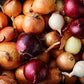 Roasted Onion Powder