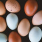 Farm Fresh Pastured Eggs